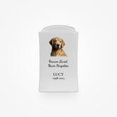 Urna de Cremación para Perros de Porcelana - 1L